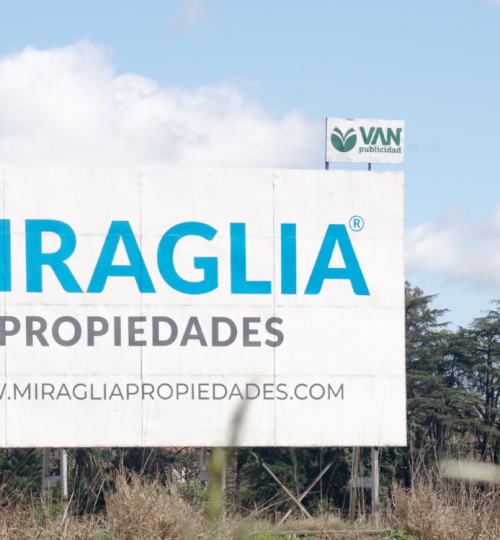 galeria4